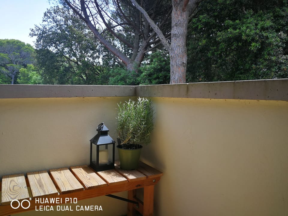 a sunny day on the balcony