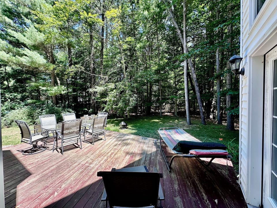 Back deck (large table #1 and hammock)
