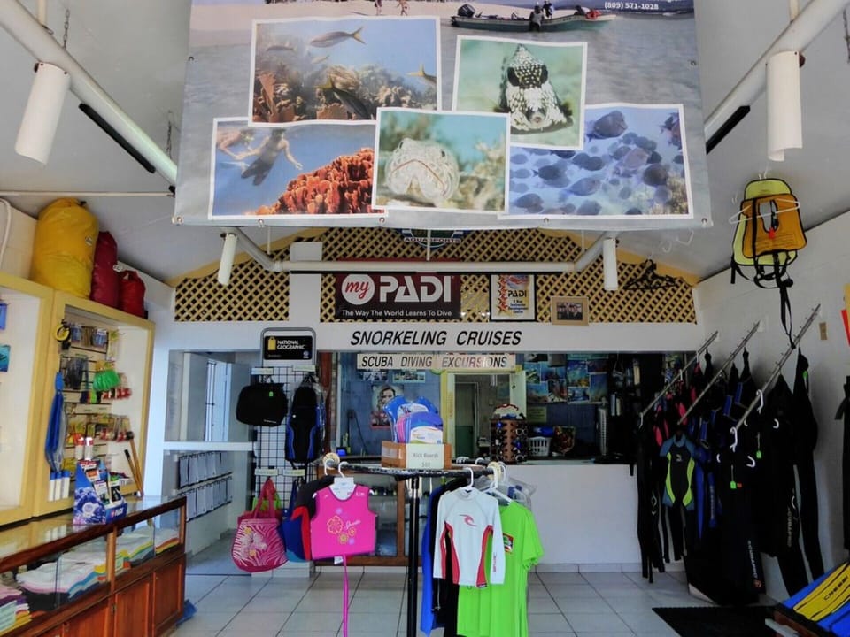Snorkel And Scuba Equipment, Instruction And PADI Certification