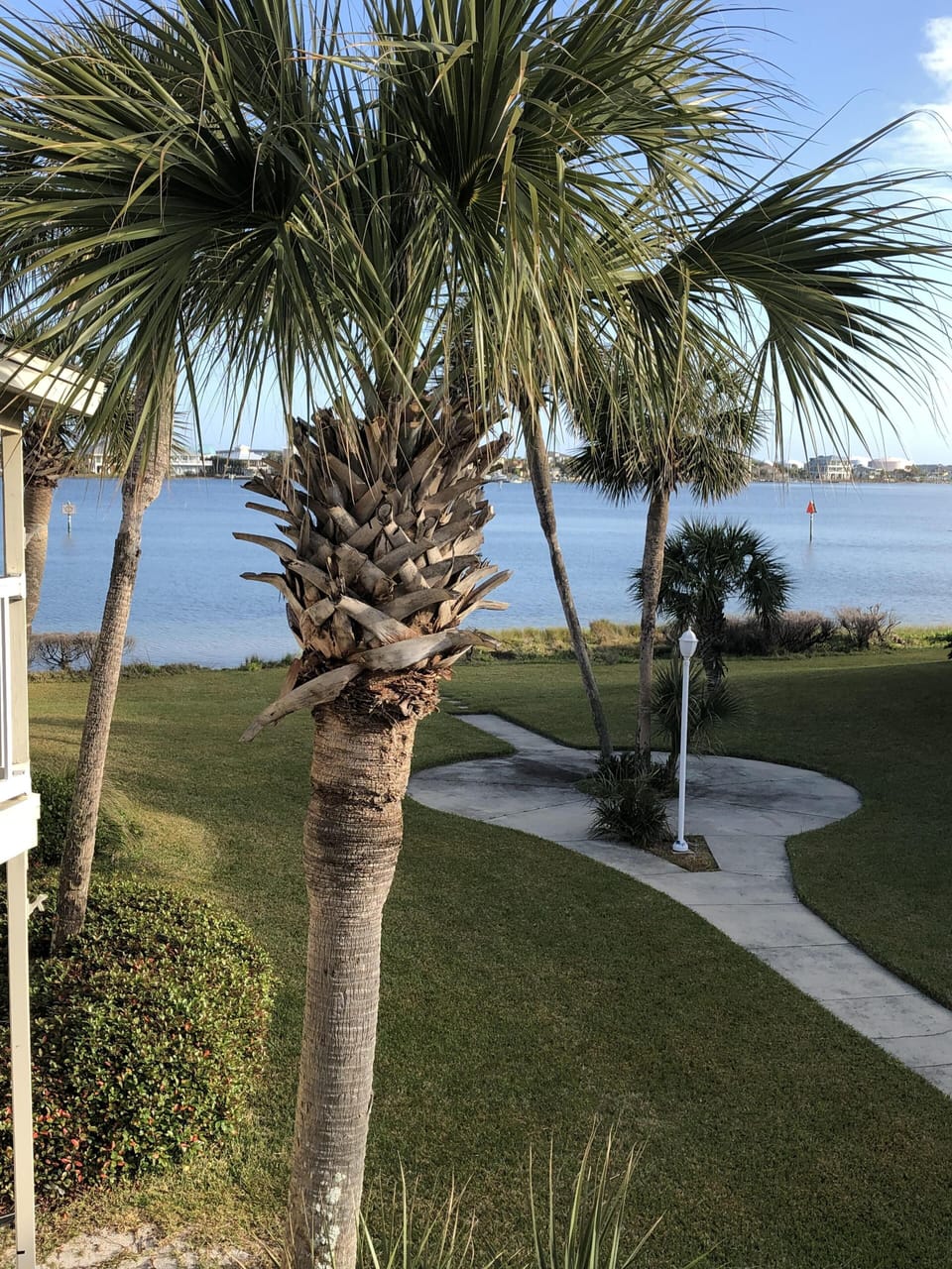 View from balcony