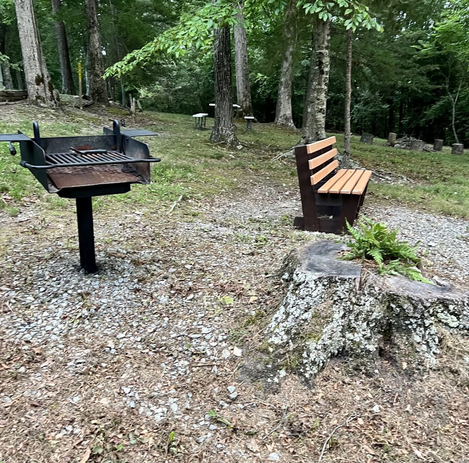 Make sure you bring charcoal and foil for the grills.