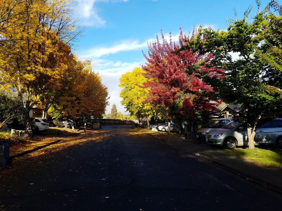 Idyllic neighborhood setting