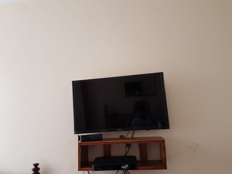 Television