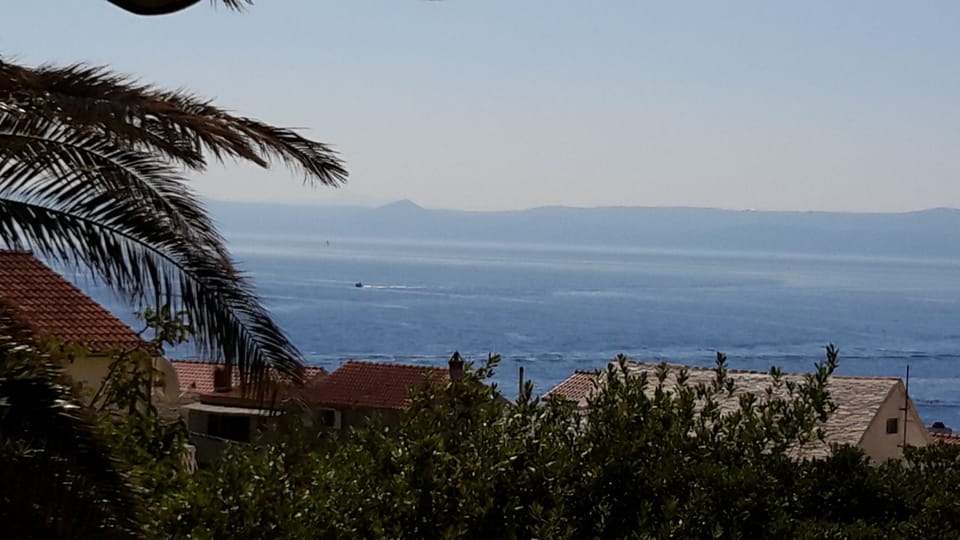 Beach/ocean view