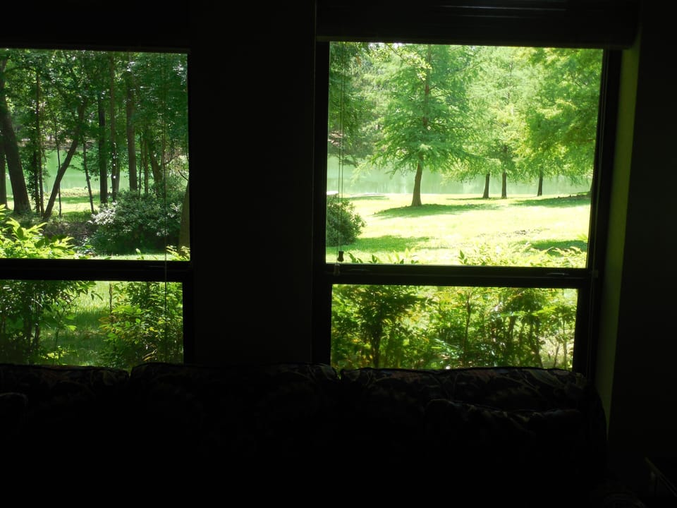 View of lake from guest house
