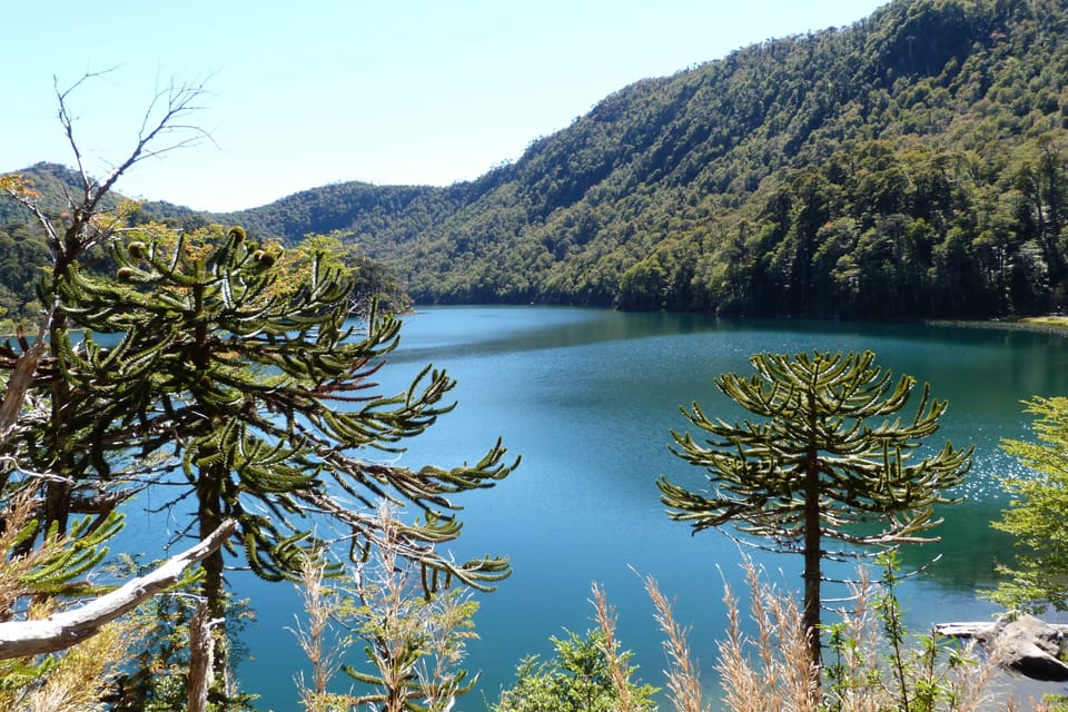 Parque Nacional Huerquehue