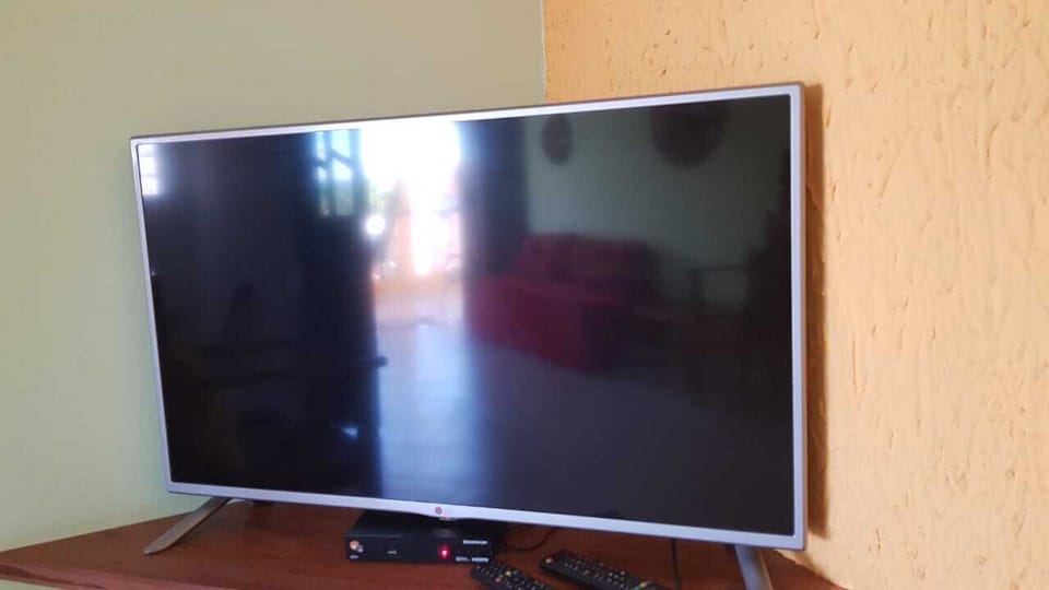 Television