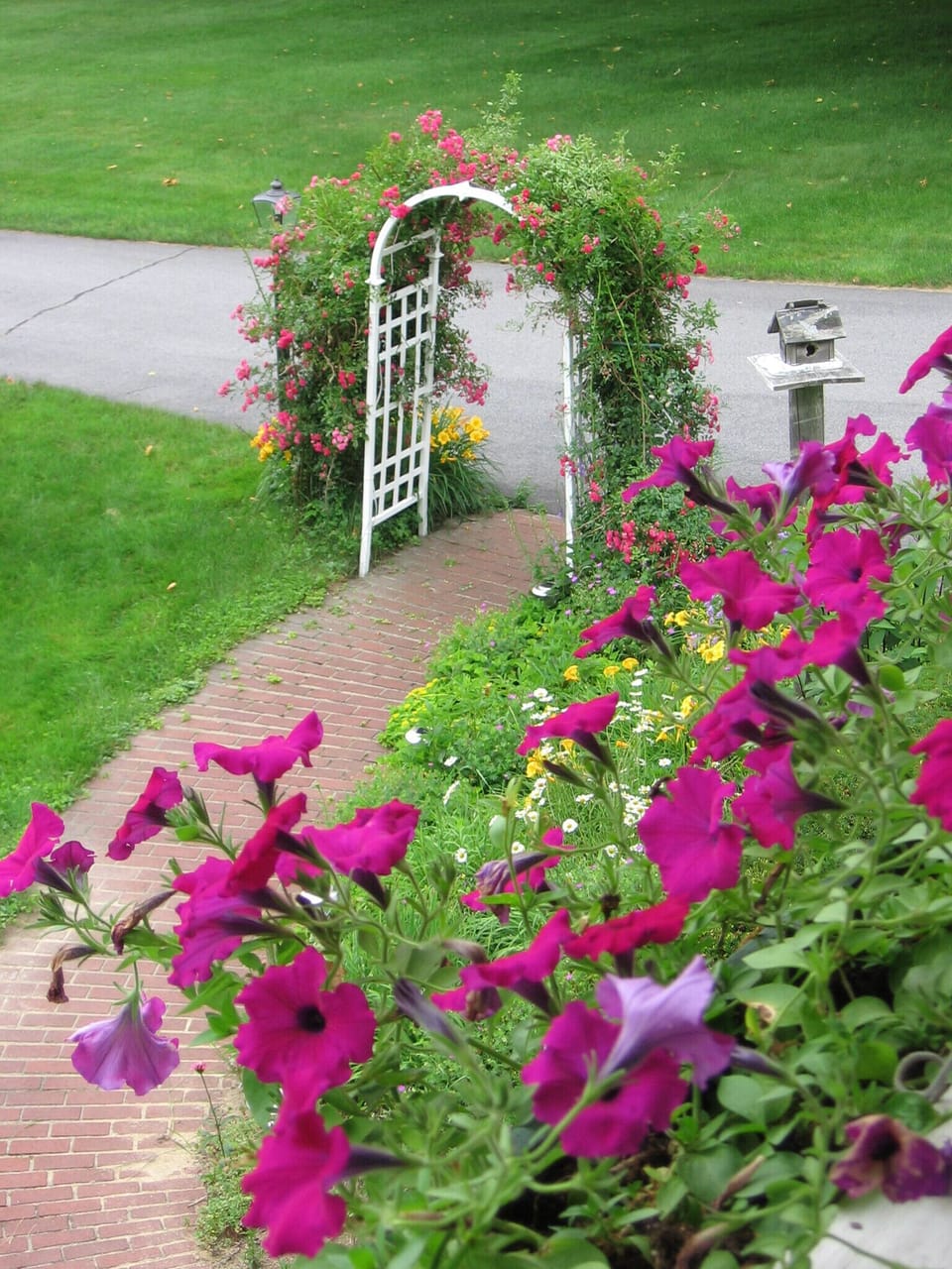 Front Yard flower garden