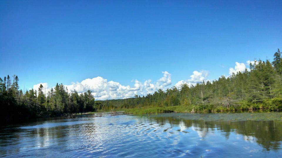 View of Grass River 