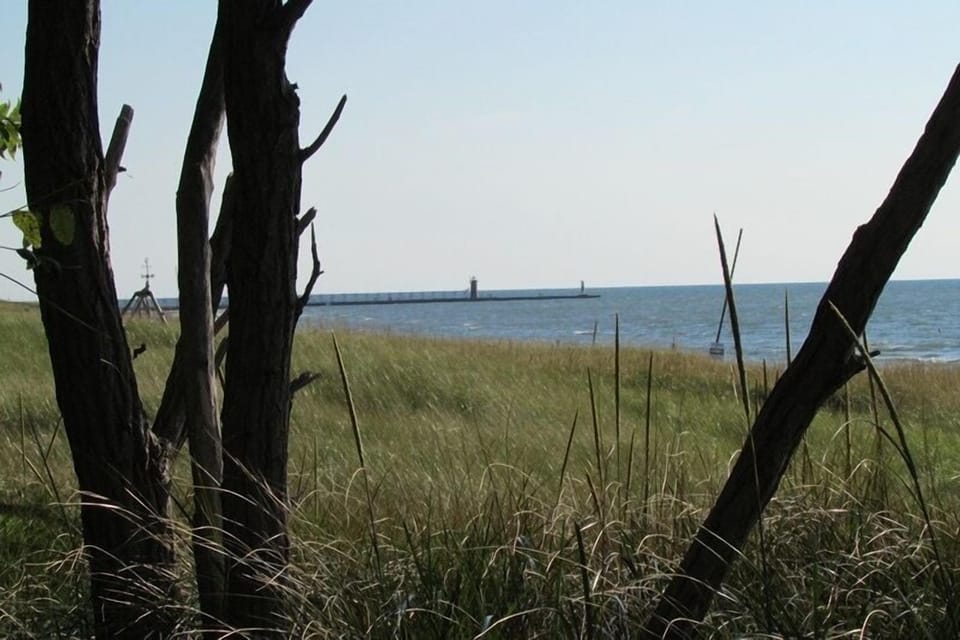 Oak Street Beach