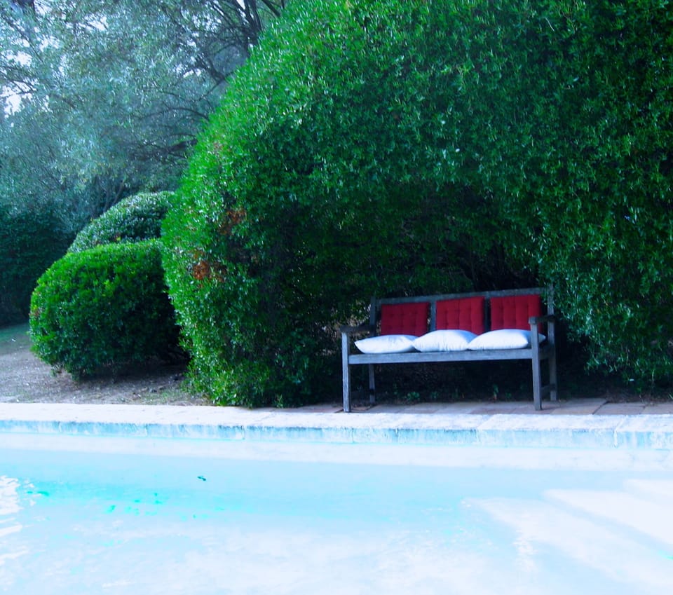 Very private 12x6 metre pool