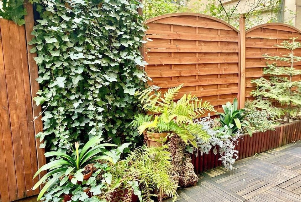 Courtyard.  The apartment is very quiet and bright.  Pad A Terre