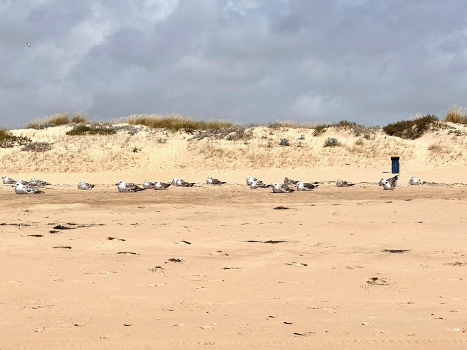Beach