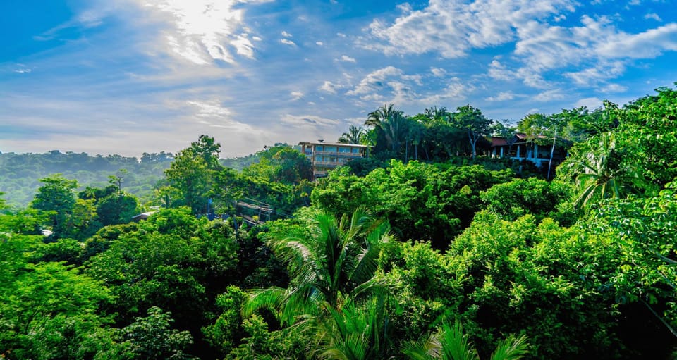 Lush Tropical Acreage 