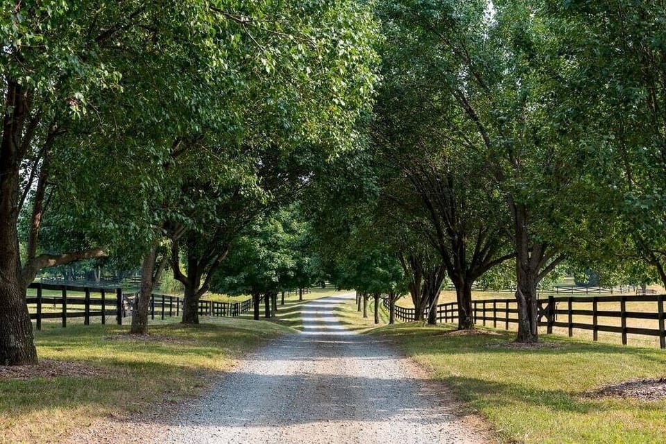 Driveway with a green lush canopy welcomes you to your cabin / bungalow!
