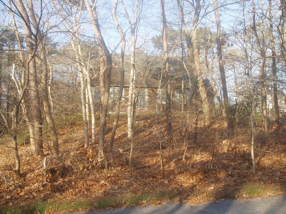 House viewed from the road between the upper and lower driveways