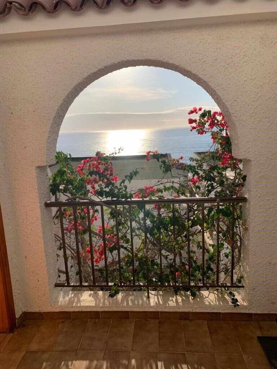 Entrance to apartment framed by gorgeous azaleas.