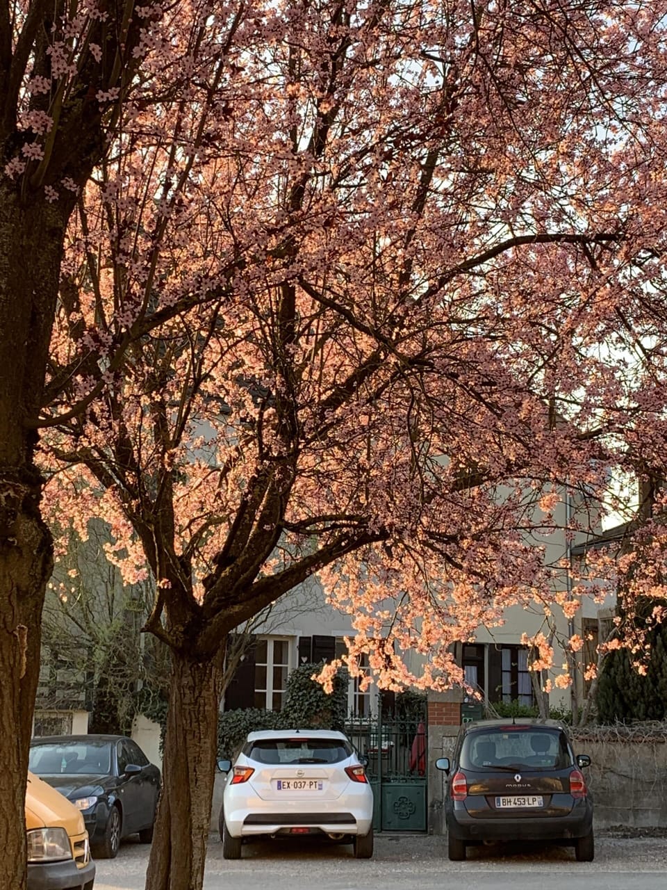 Outside the front gates 