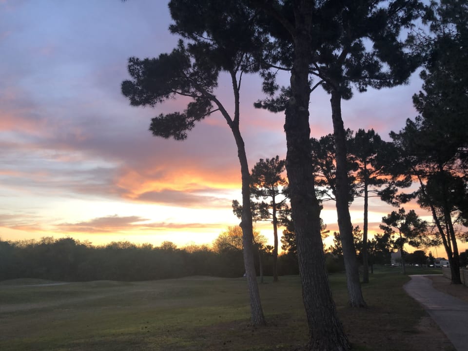 Evening brings out the beautiful colors