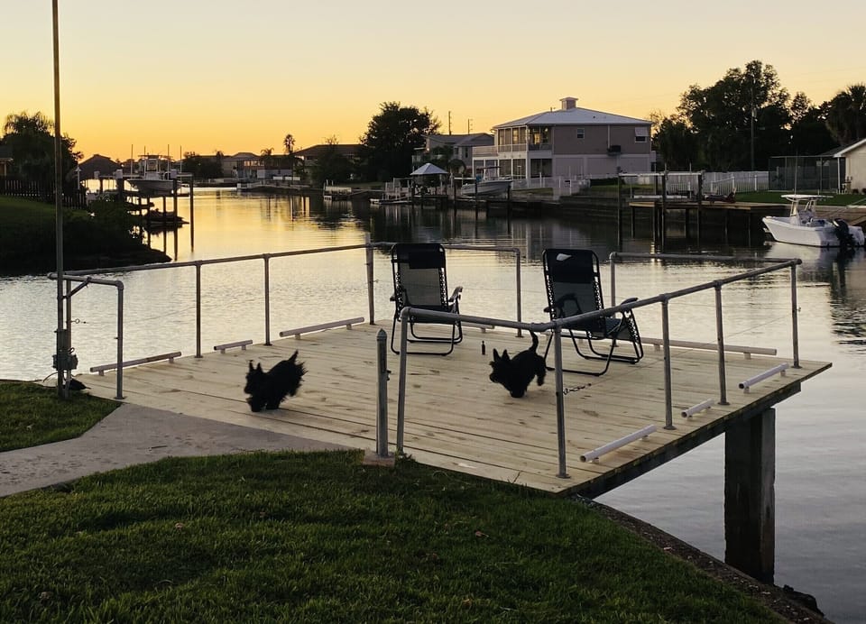 Fish right from the observation deck