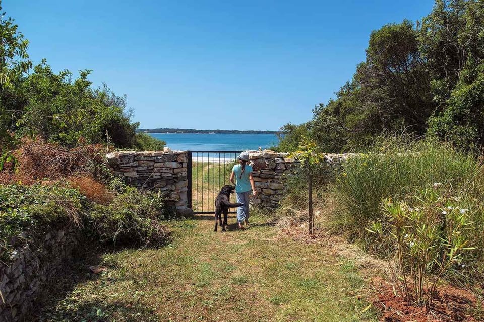 external view