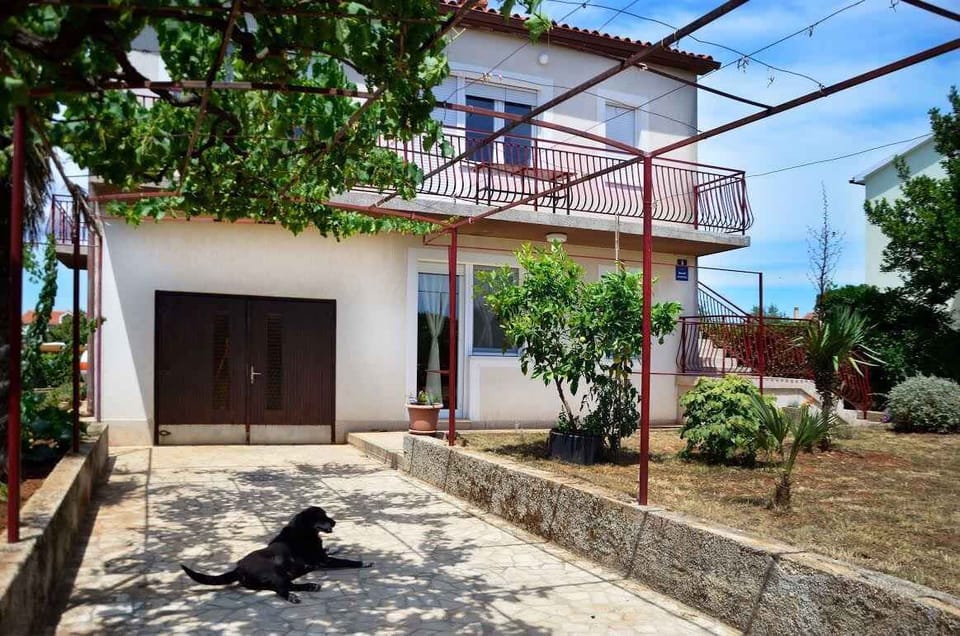 external view