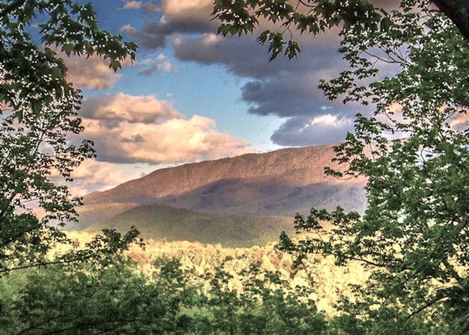 View from deck outside of family room