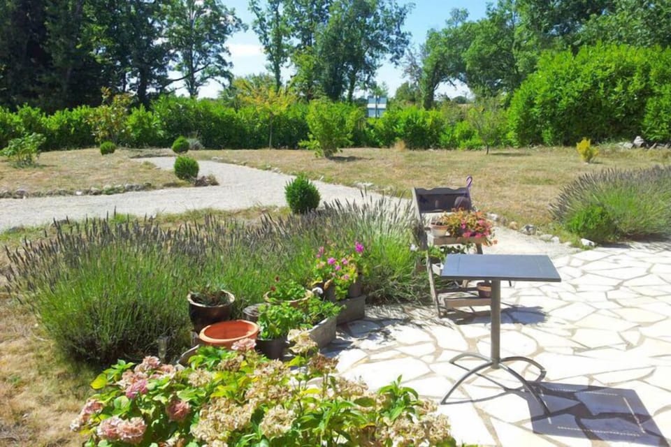 Garden [summer]