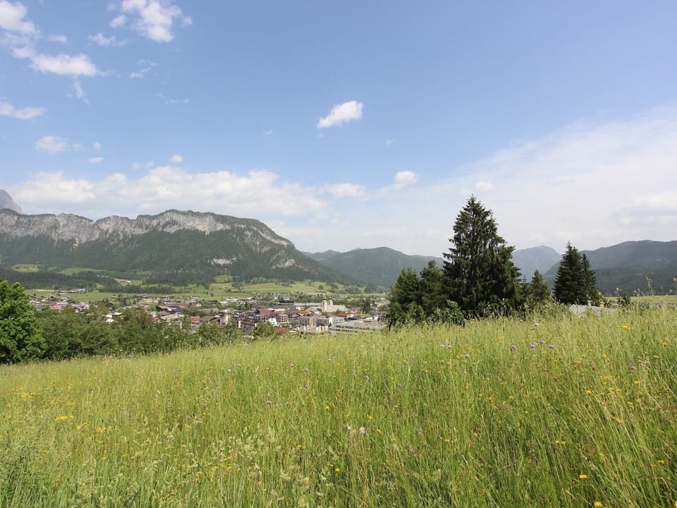 Immediate Surroundings [summer] (<1 km)