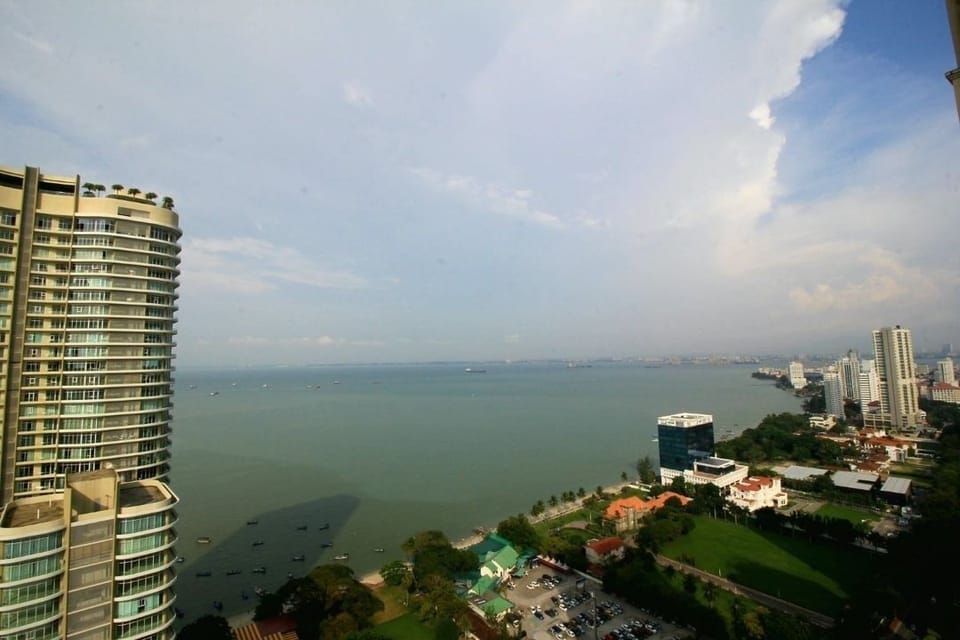 Summer Sea Calls From Your Window