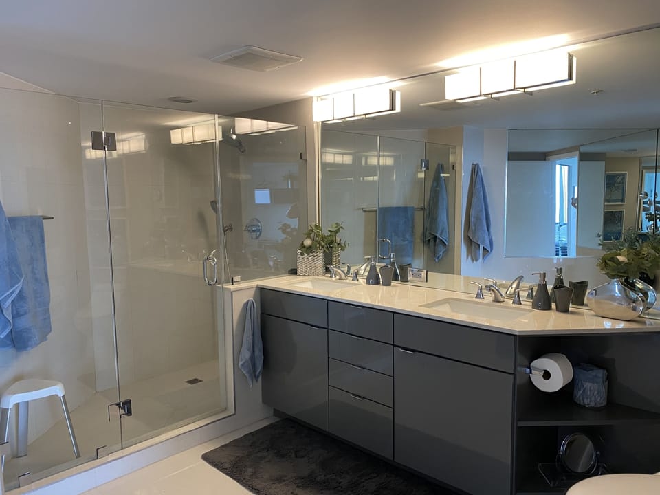 Master Bath, double sink vanity, regular shower and hand held shower, jetted tub