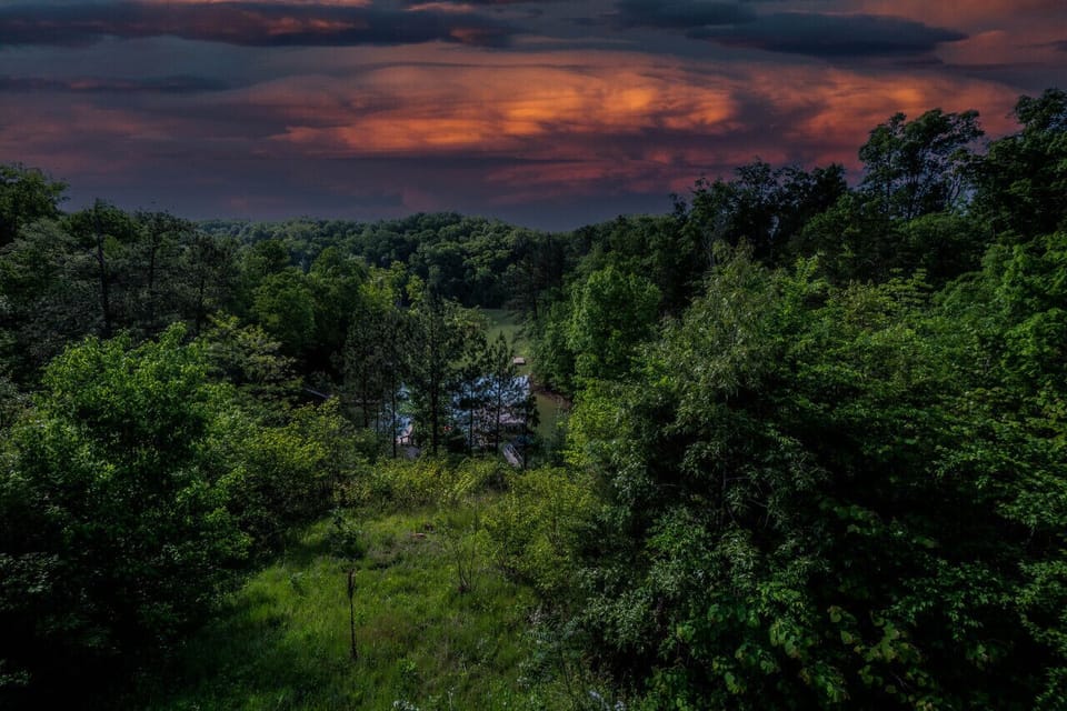 View from Barn