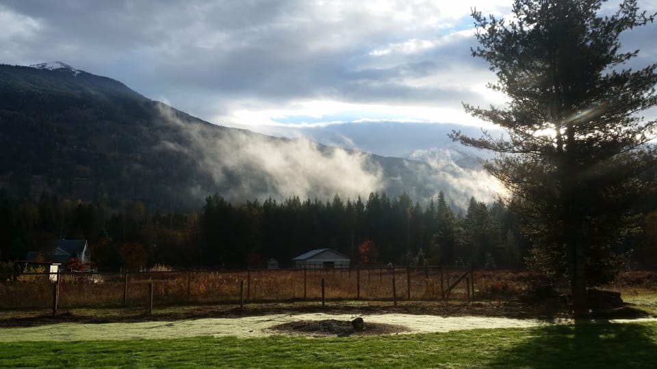 We have a large fire pit and lots of wood in the back yard as well!