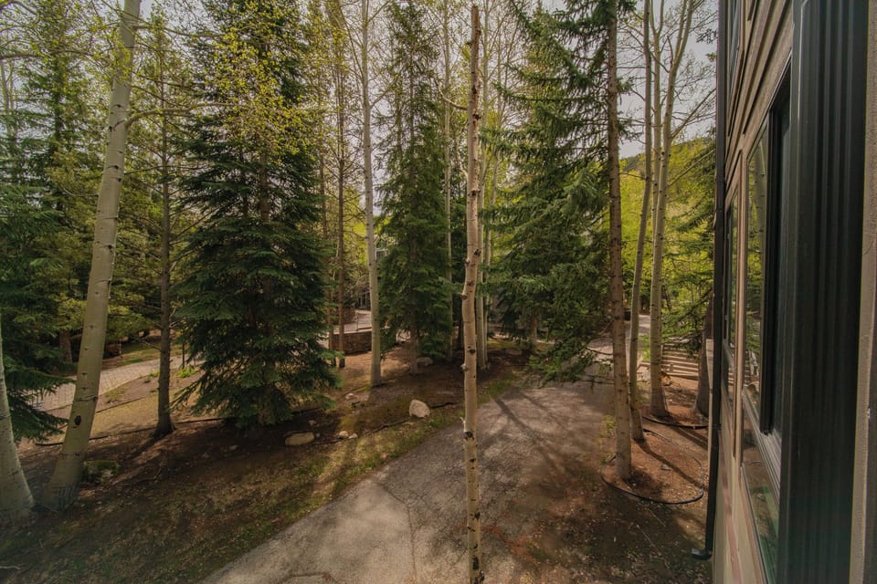 Forest and Resort views! #fall