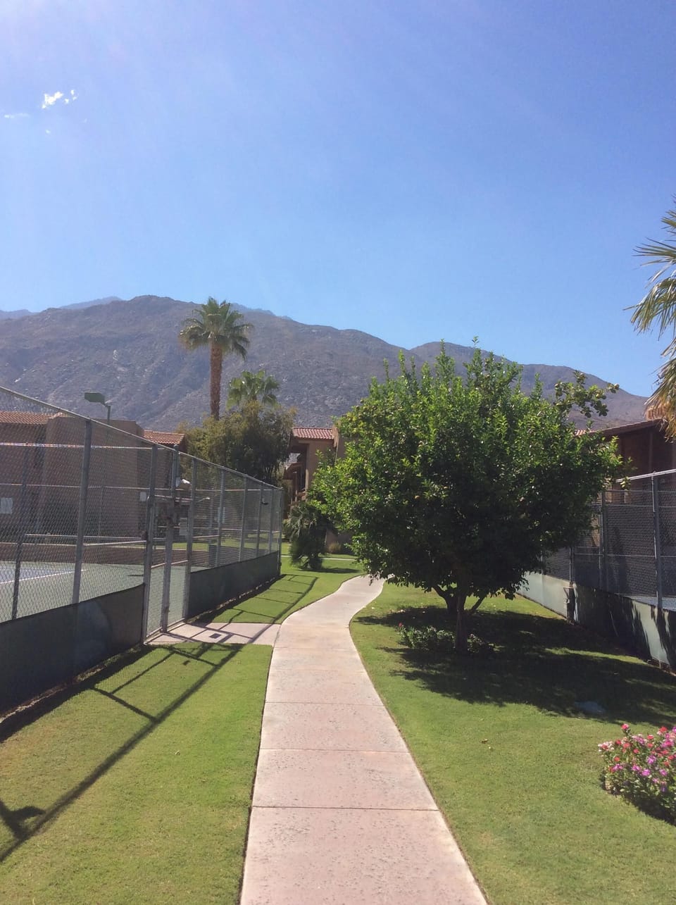 Tennis Courts with Views