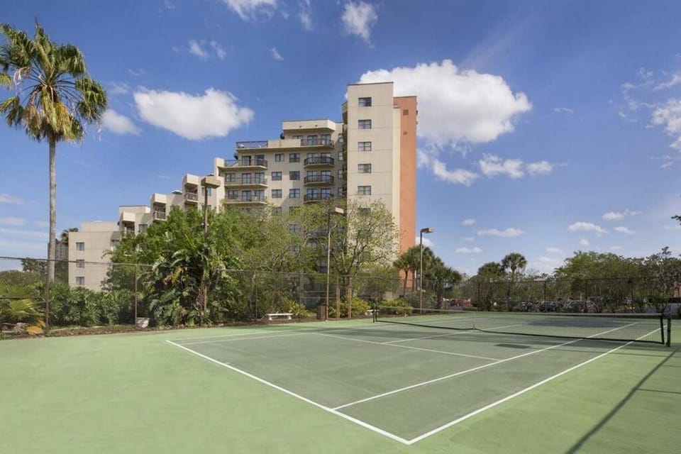 Sport court