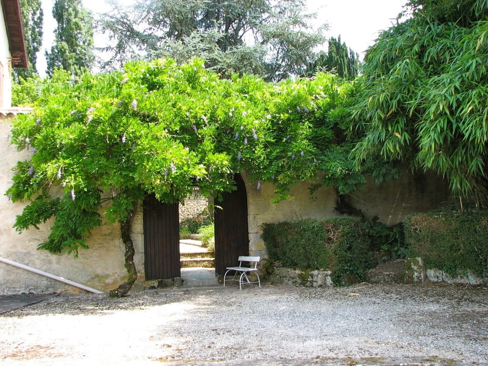 Behind this door, overlooked by a beautiful wisteria, the inner courtyard