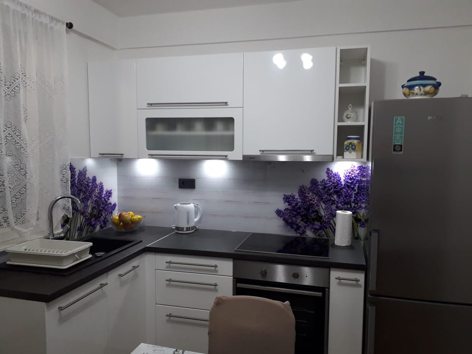 Apartment Karla SNB kitchen 