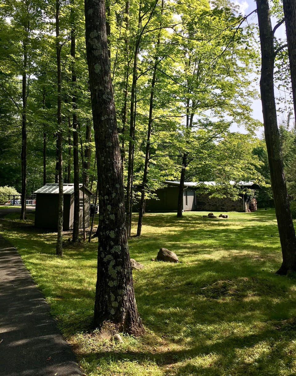 On the driveway, leading towards the house