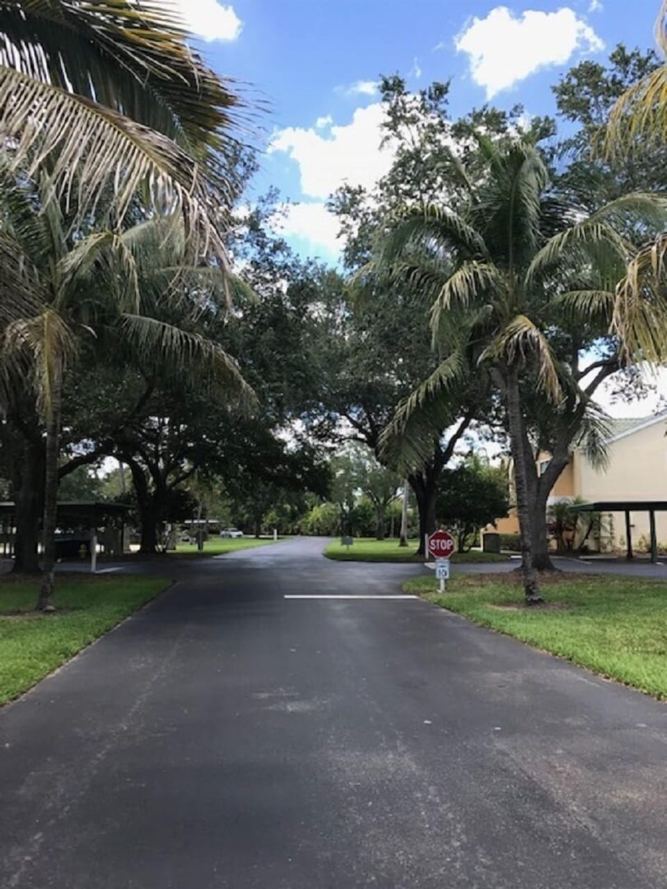 Your Palm tree lined road way in to the condo