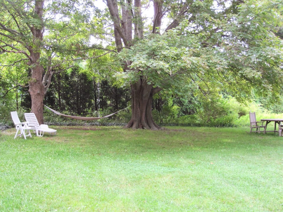 Relax on the hammock under the maple trees.