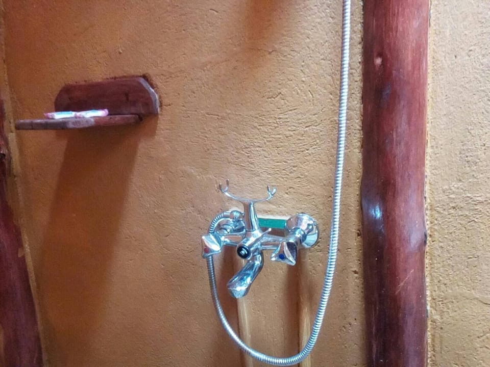 Hand-held showerhead