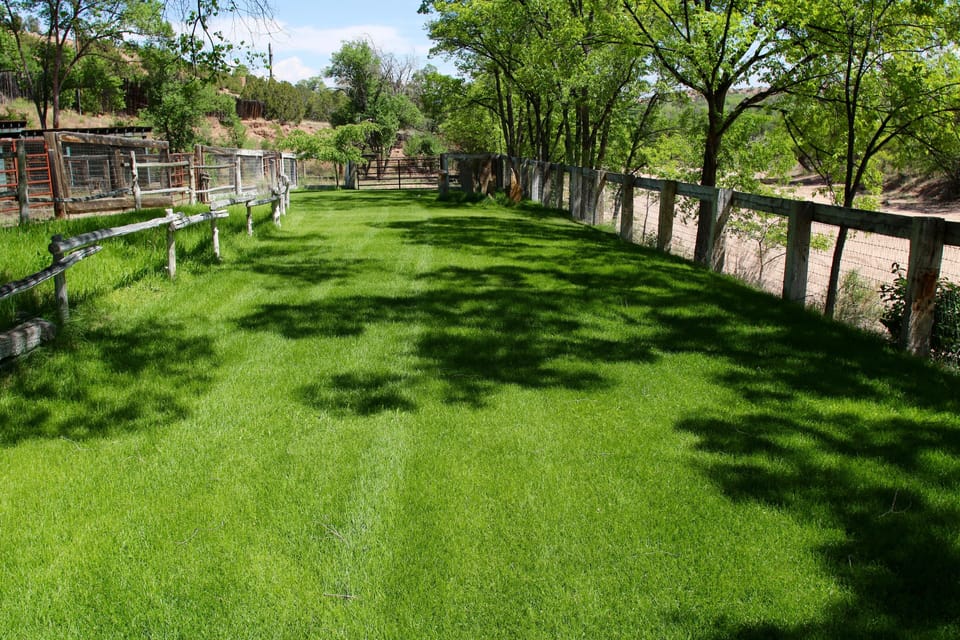 lawn outside of barn