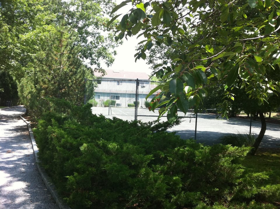 View from Street
