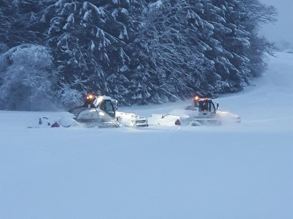 Snow and ski sports