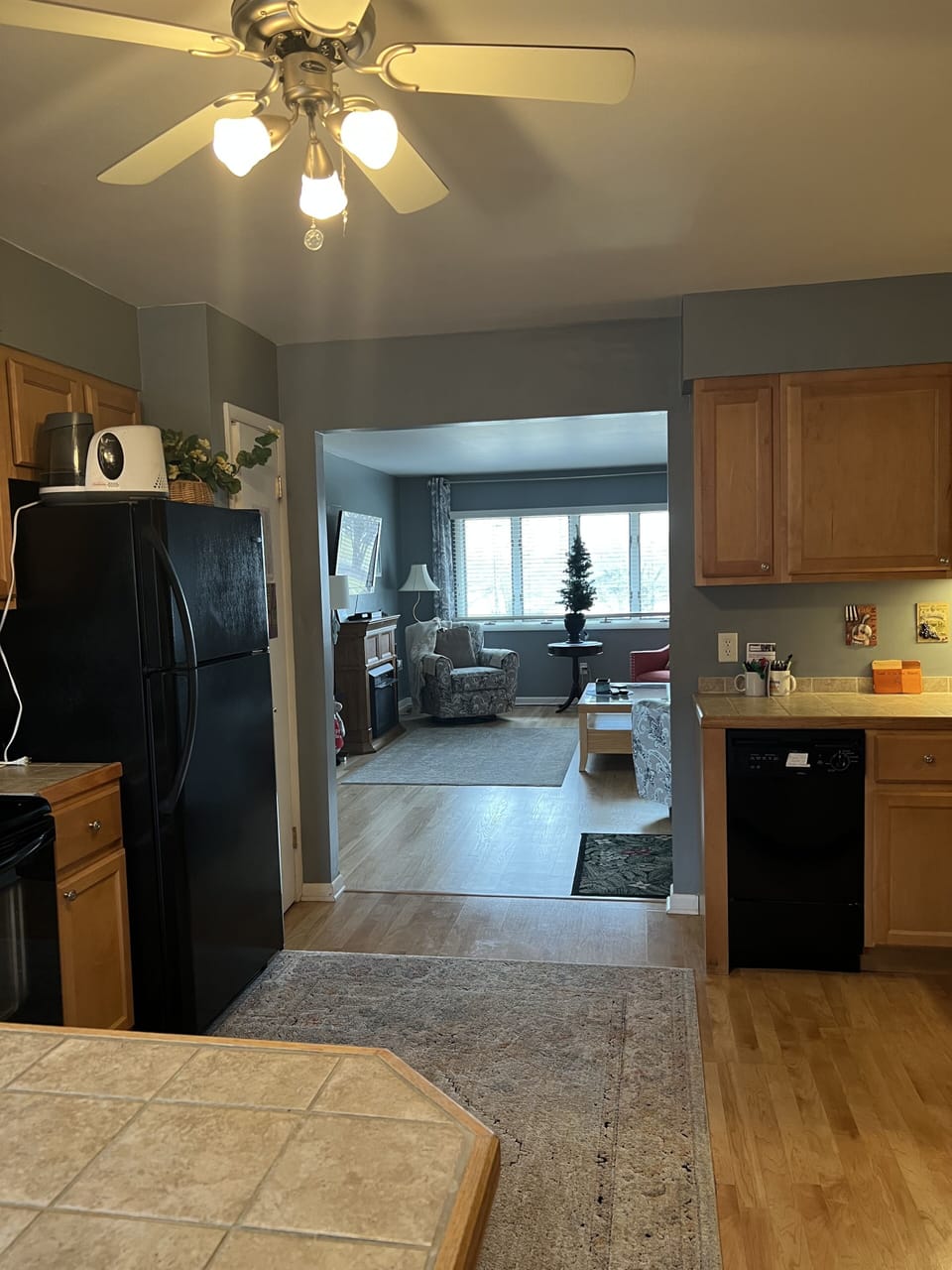 View from kitchen to living room.
