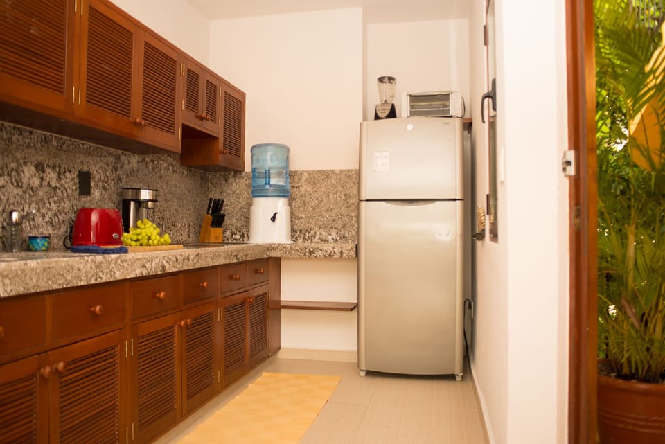 Cozy apartment in the heart of Playa