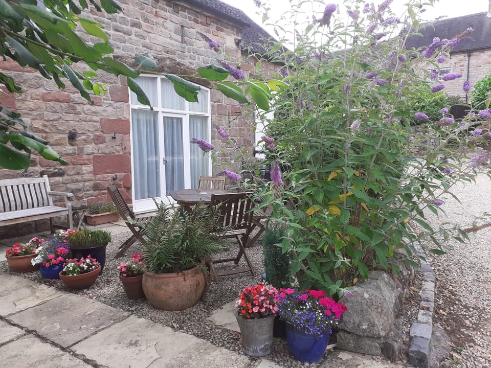Garden area