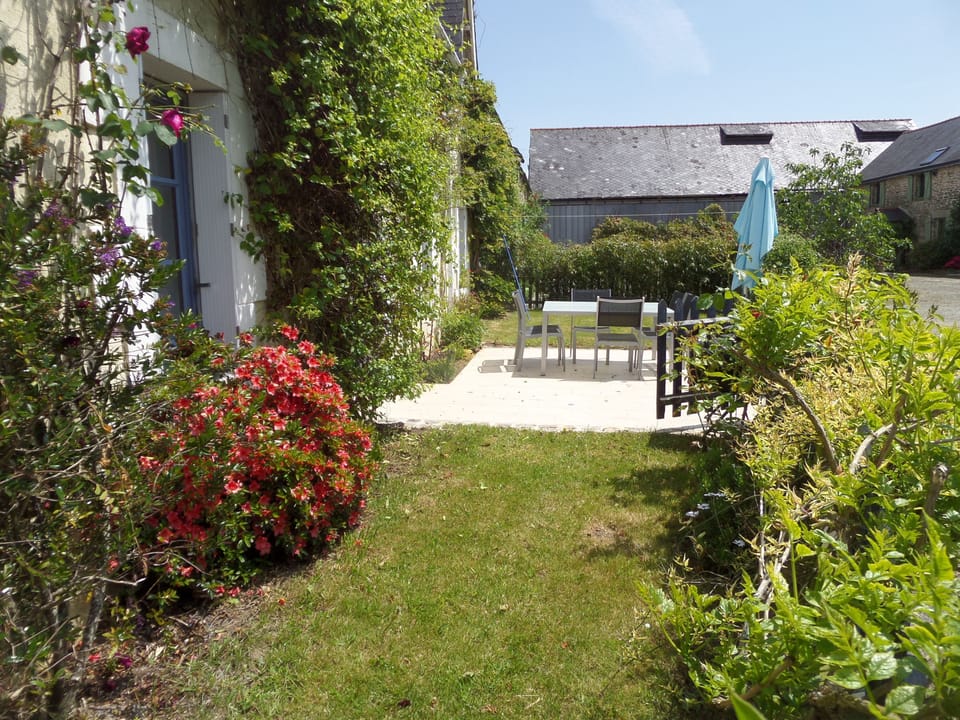 Garden and patio