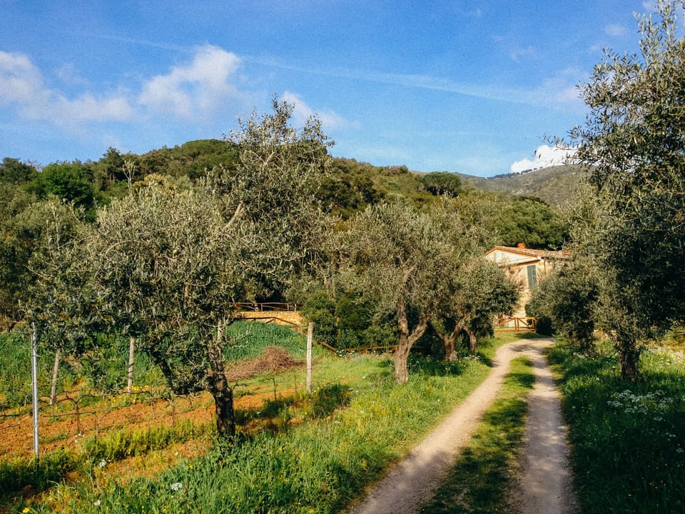 GETTING TO THE PROPERTY